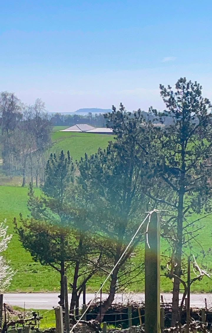 Panoramaudsigt over de grønne bakker og Hjelm Dyb mod øen Hjelm