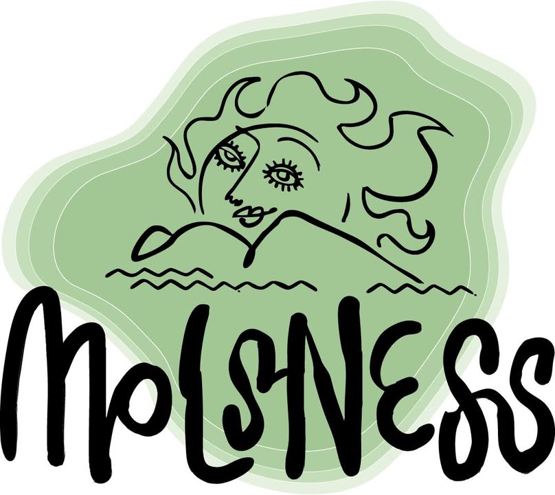 Molsness officielt logo med Mols bjerge og solansigt