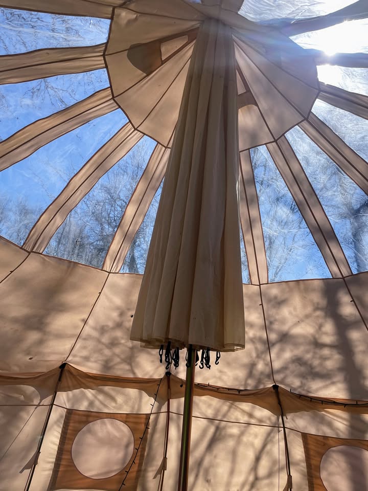 Kig op i glampingteltets teltdug med sollys og trækroner