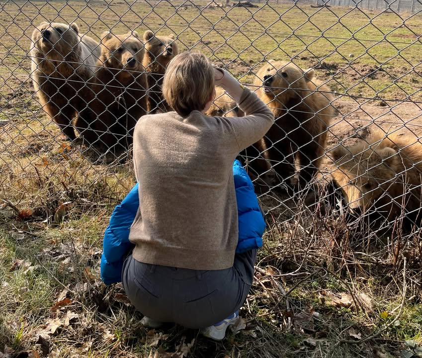 Anna Riis Lund fotograferer rækken af brunbjørne